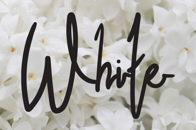 Bountiful Font preview image 4