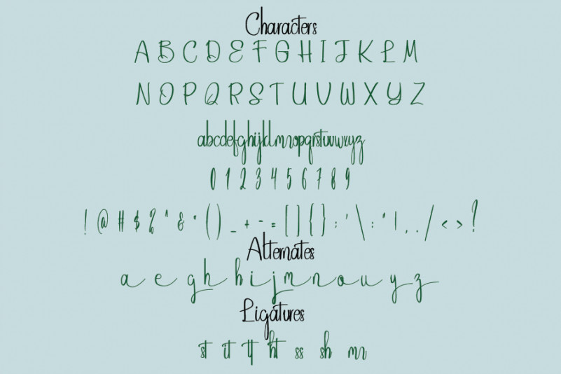 Sustiegraphy Font preview image 2
