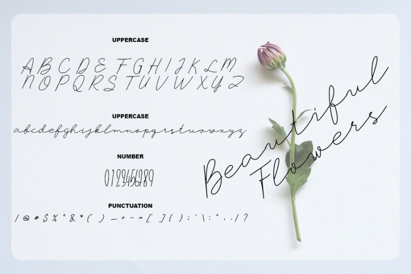 Timberlye Font preview image 4