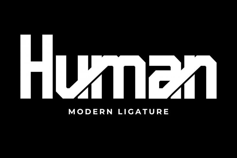 Pro Human Sans Serif Font