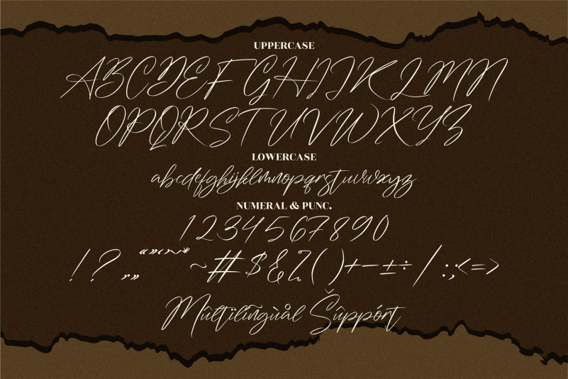Washington Signature Font preview image 3