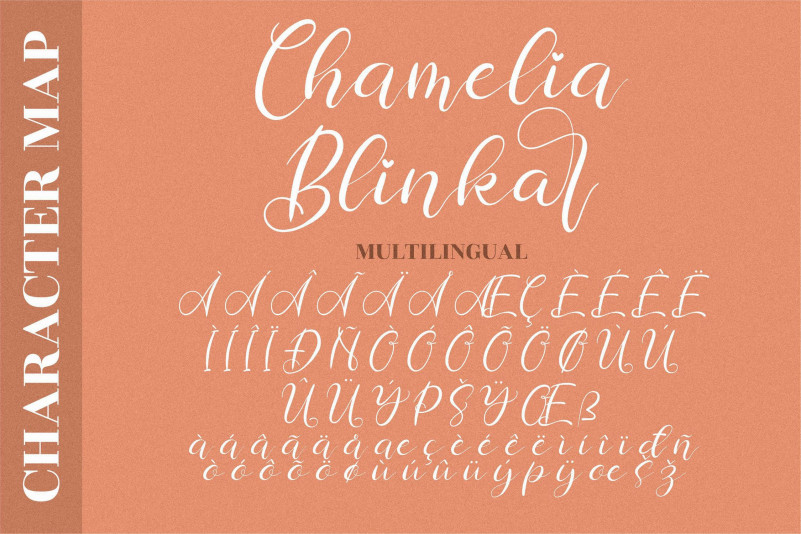 Chamelia Blinkar Font preview image 4