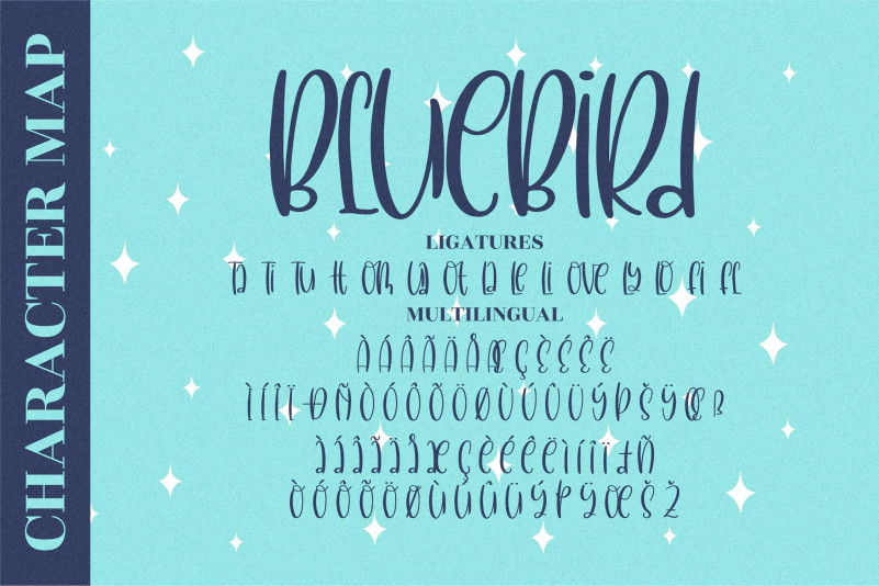 BlueBird Font preview image 4
