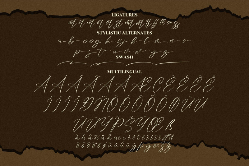 Washington Signature Font preview image 4