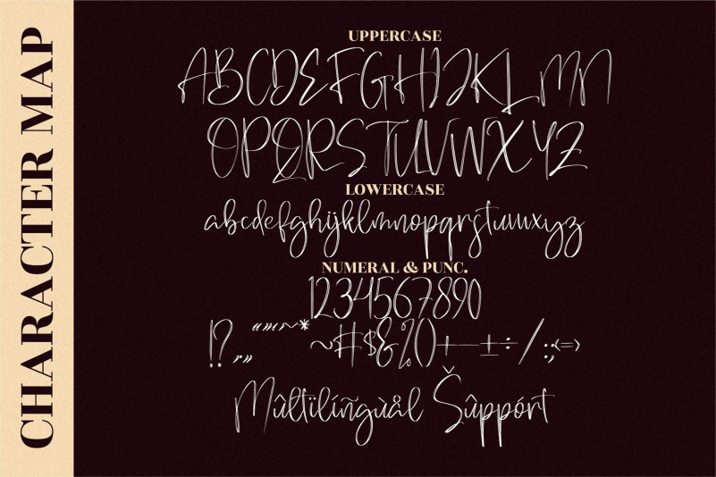 Brilliant Signature Font preview image 3