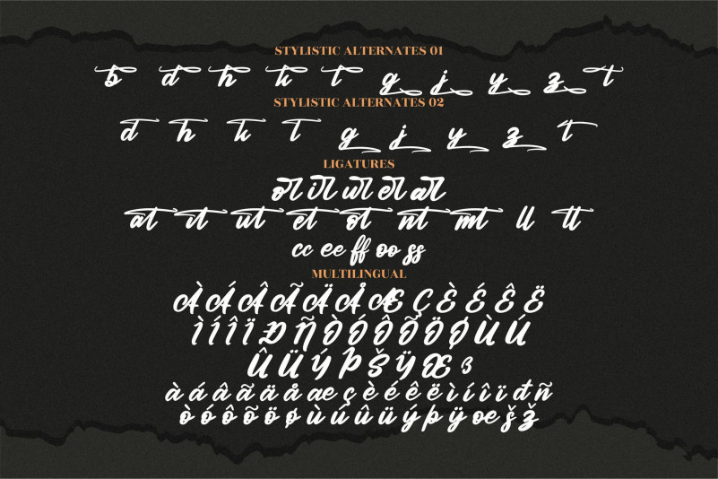 Authentic Calisttera Font preview image 5
