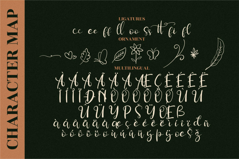 Simphonitta Font preview image 4