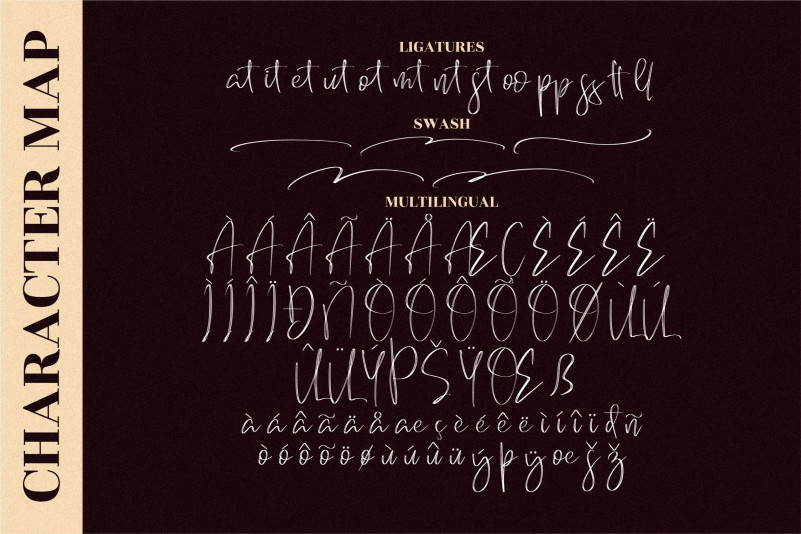 Brilliant Signature Font preview image 4