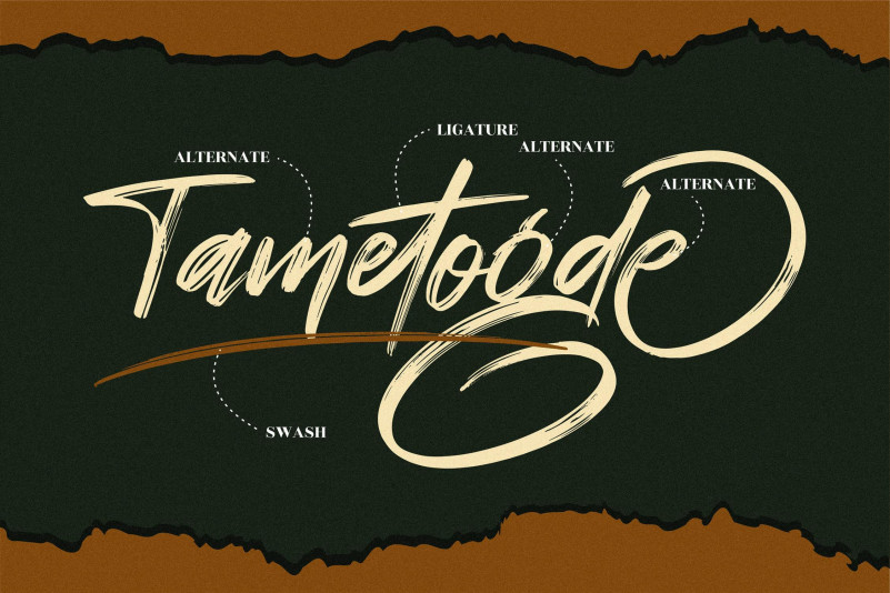 Tametogde Font preview image 2