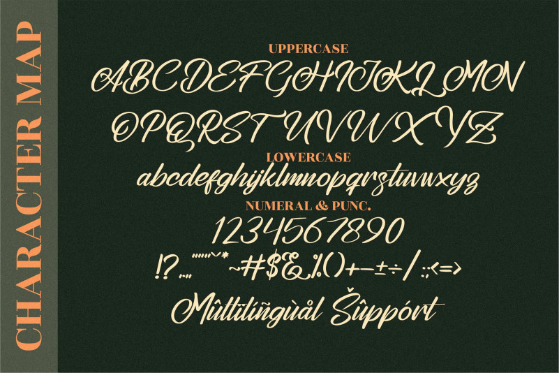 Stephenson Brandon Font preview image 4