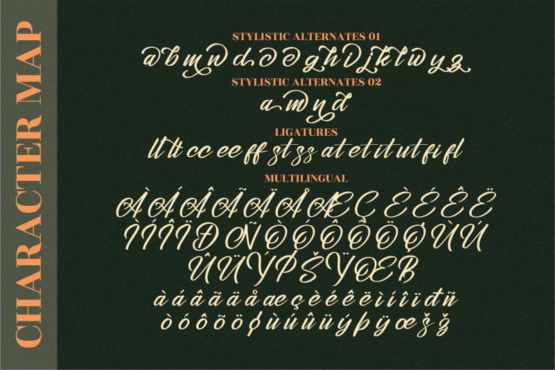 Stephenson Brandon Font preview image 5