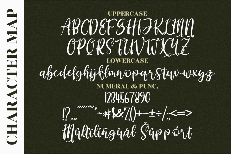 Derlinata Space Font preview image 2