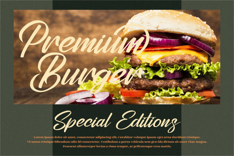 Stephenson Brandon Font preview image 2