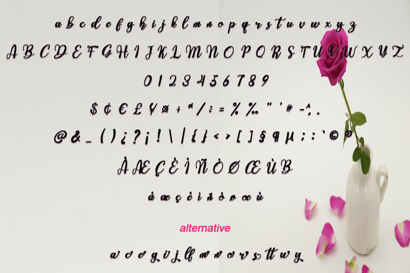 Mothers Day Script Font preview image 4