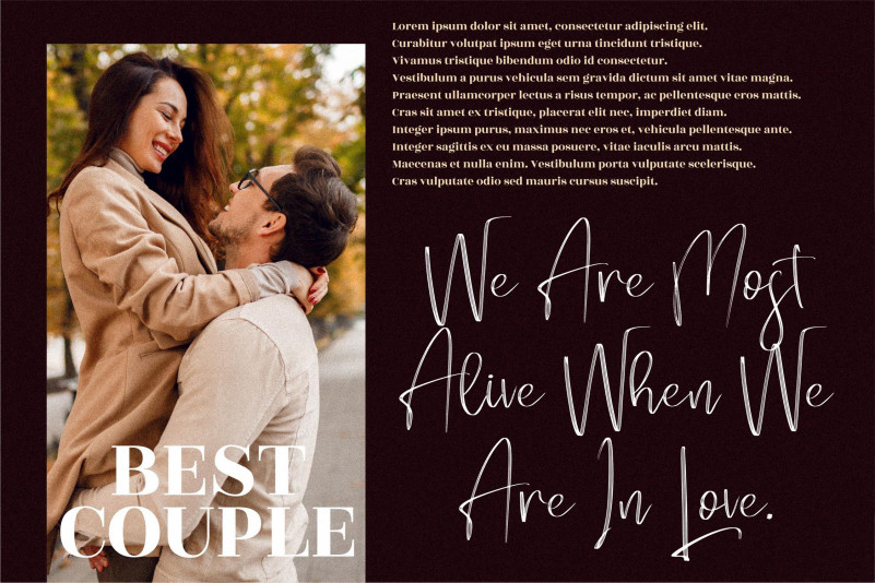 Brilliant Signature Font preview image 2
