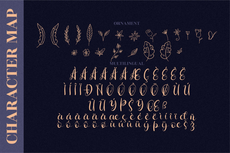 Hiratheria Font preview image 5