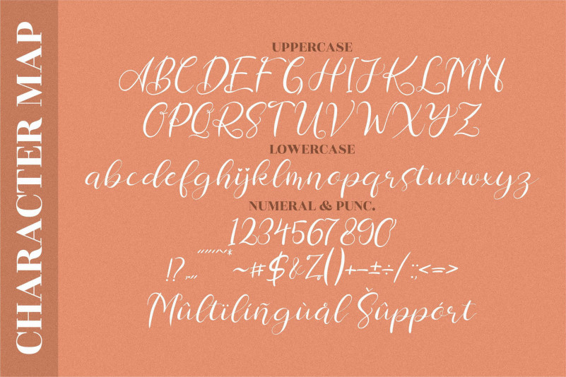 Chamelia Blinkar Font preview image 2