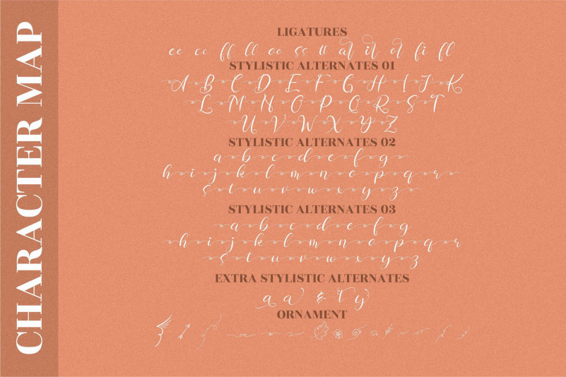 Chamelia Blinkar Font preview image 3