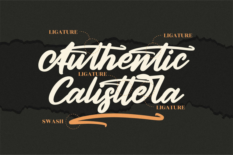 Authentic Calisttera Font preview image 3