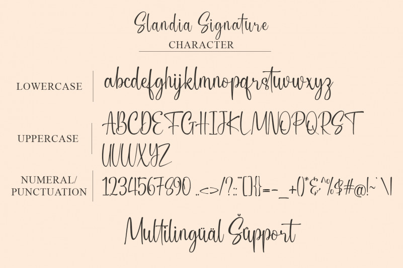 Slandia Signature Font preview image 4