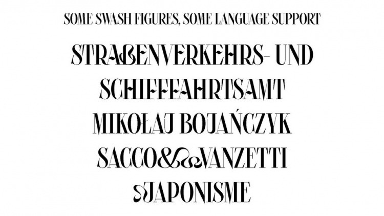Picaflor Font preview image 4