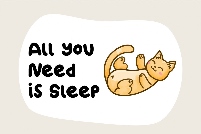 Kitto Regular Font preview image 4