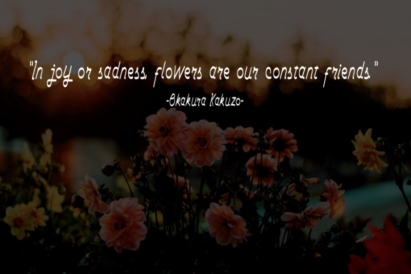 Summer Font preview image 4