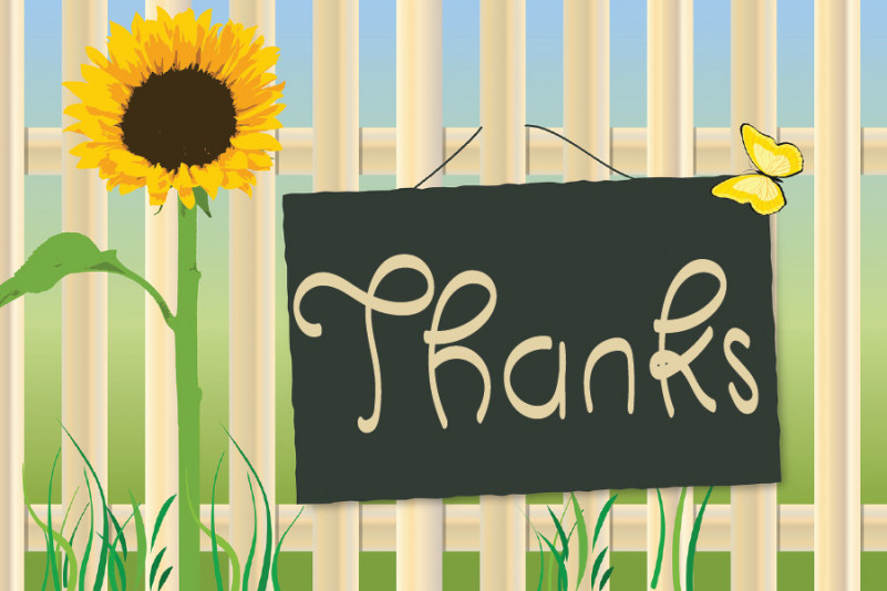 The Butterfly Font preview image 5