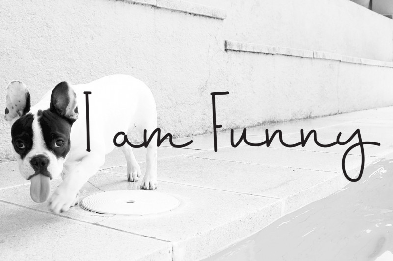 Happy Doggies Font preview image 2