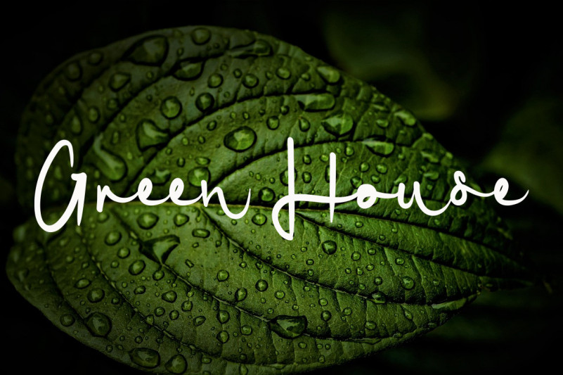Signature Minimalis Font preview image 2