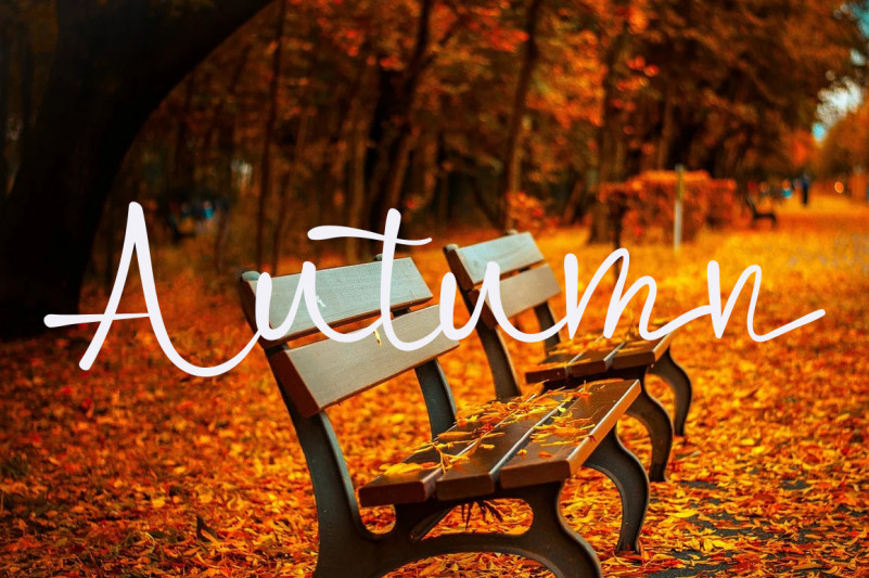 Rainbow Line Font preview image 2