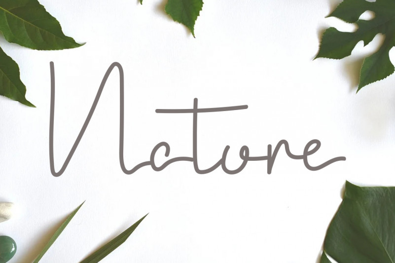 White House Font preview image 2