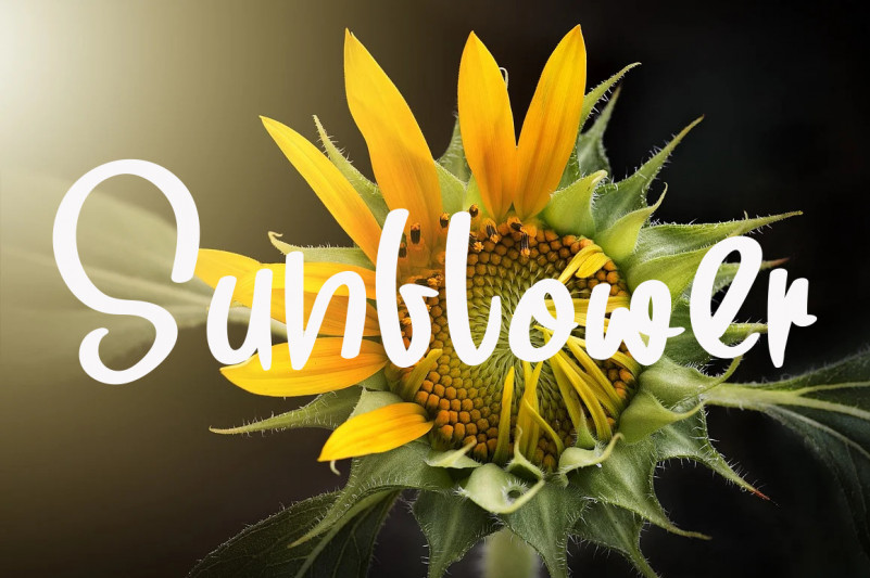 Pineapple in Bigger Font preview image 3