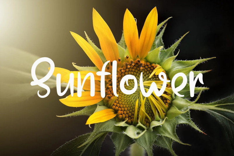 Sweet Pineapple Font preview image 3