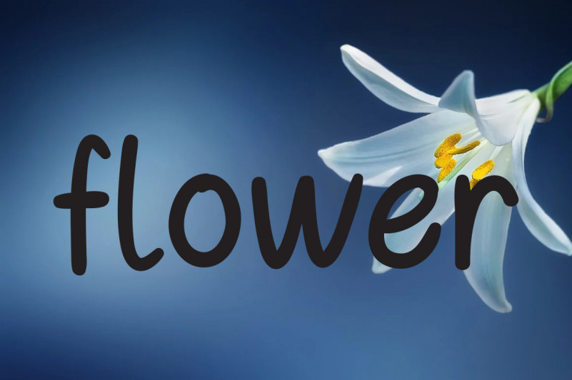 Sweet Milk Font preview image 3