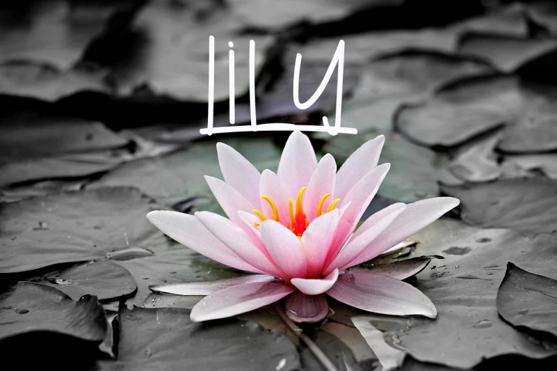 Easter Flowers Font preview image 3