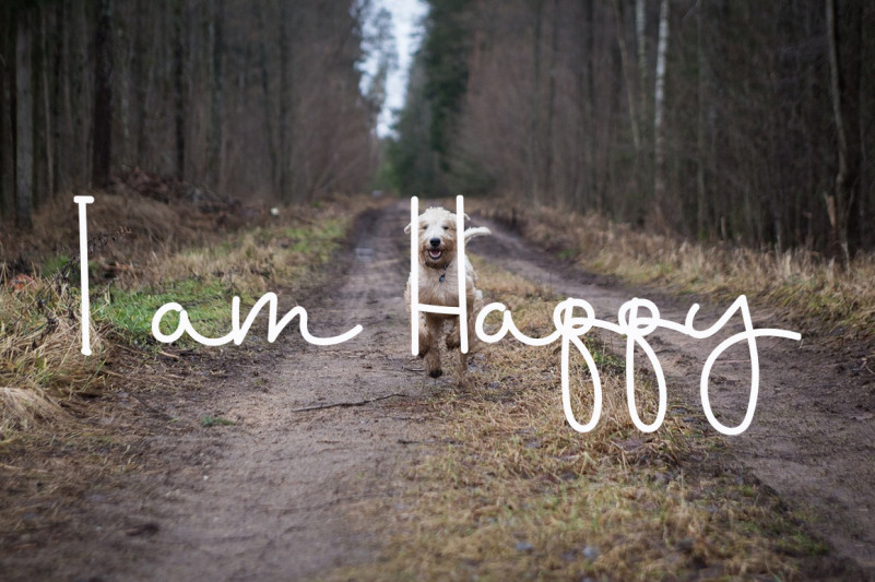 Happy Doggies Font preview image 3