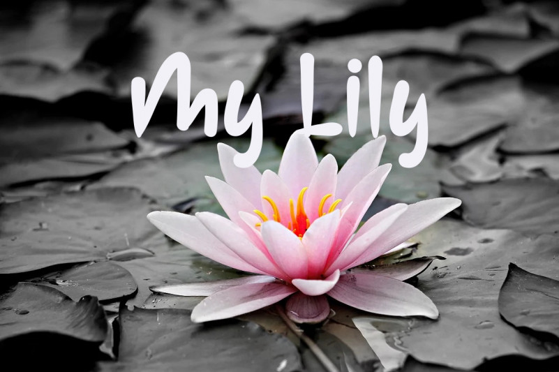 Happy Mothers Day Font preview image 3
