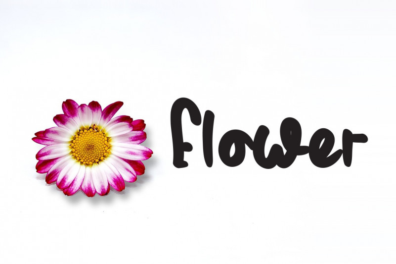 Vintage Art Font preview image 3
