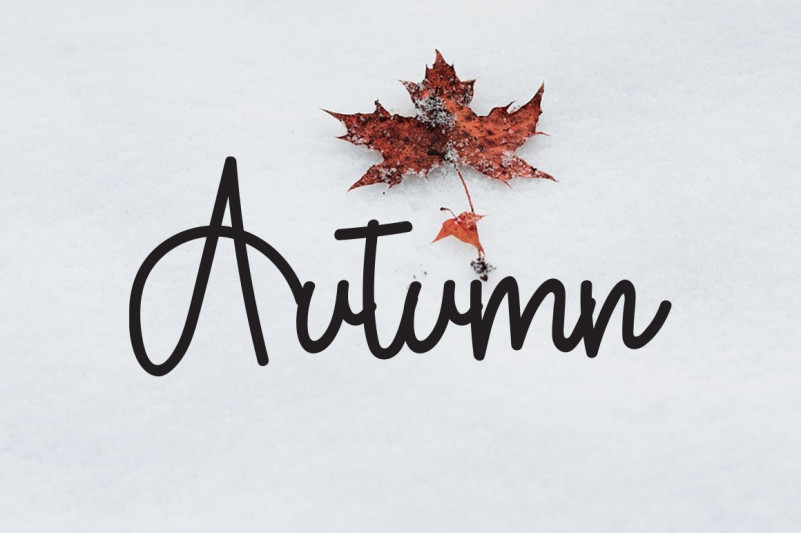 Flower Signature Font preview image 3