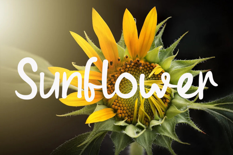 Hello Love Font preview image 4