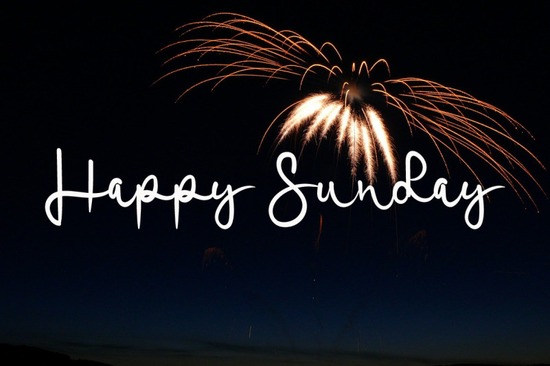 Signature Minimalis Font preview image 4