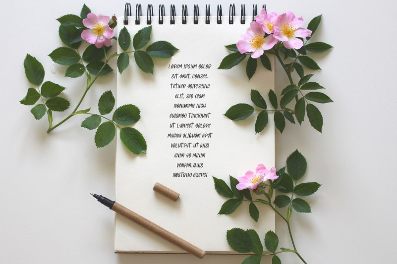 Sweet Alive Font preview image 4