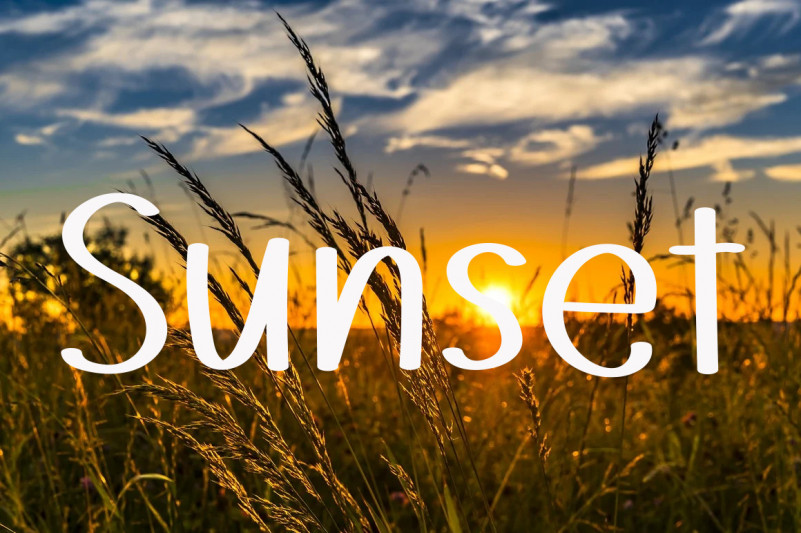 Minimalist Flowers Font preview image 3