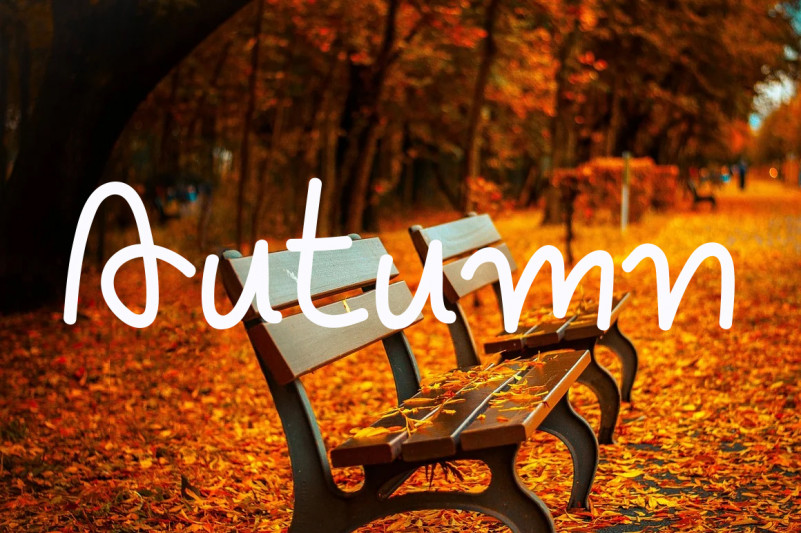 Take A Shine Font preview image 5