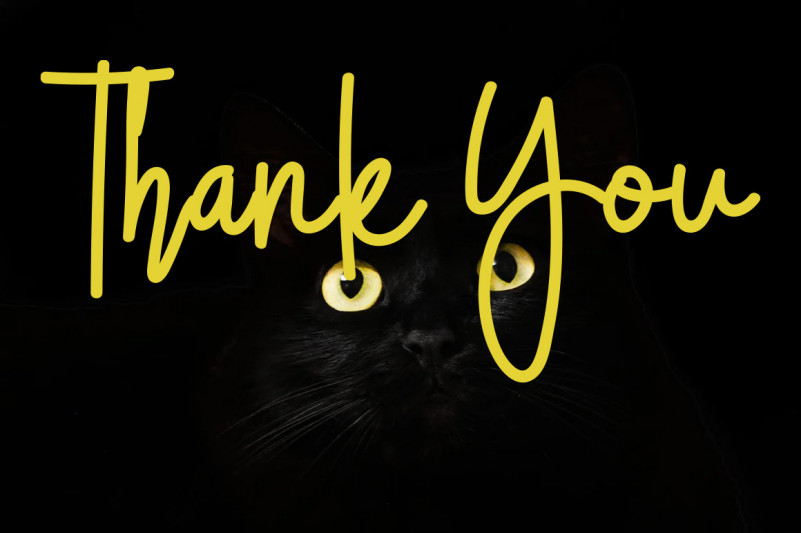 Spring Signature Font preview image 5
