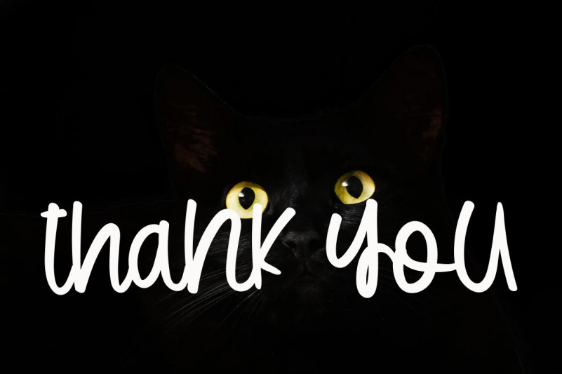 Rainbow Signature Font preview image 5