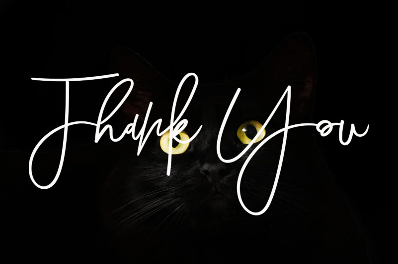 Little Farmhouse Font preview image 5