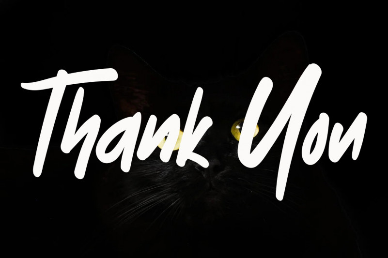 Baby Bee Font preview image 5