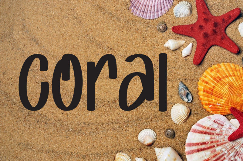 Beach Summer Font preview image 4